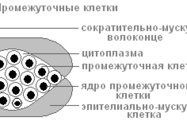 Kraken tor onion зеркало