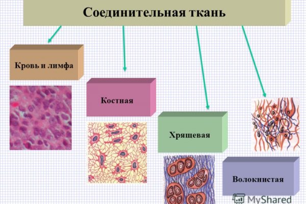 Логин и пароль от кракен